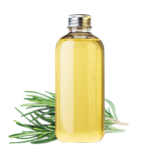 Rosemary Oil
