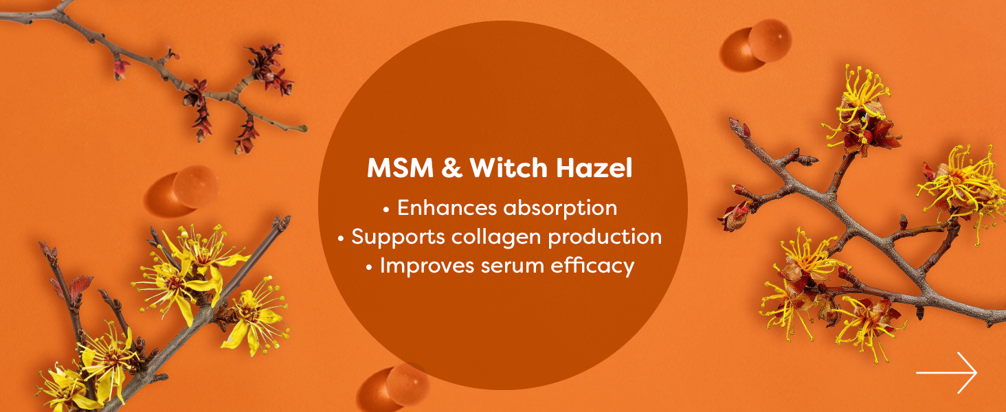 Vitamin C Serum Ingredients