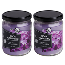 Lilac 2 Pack Lilac Odor Eliminating Candles