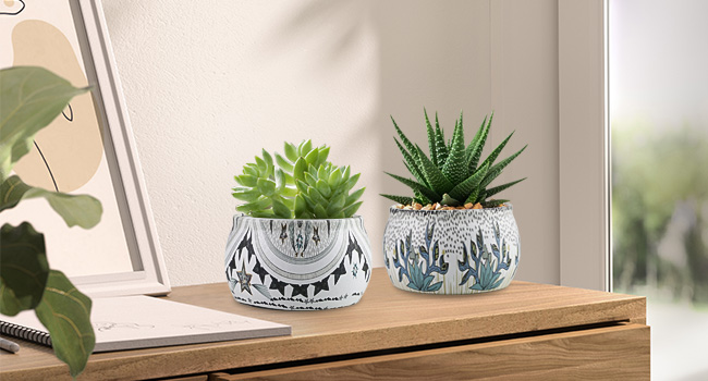 tin candles