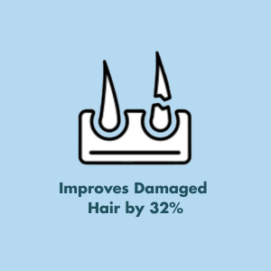 Damaged Hair 