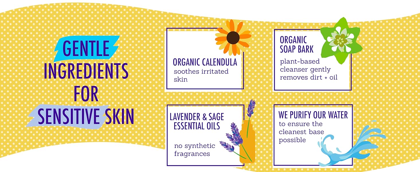 Gentle ingredients for sensitive skin, including: organic soap bark, calendula, and purified water.