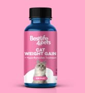 Cat Weight Gain & Hyperthyroidism Treatment - Safe and Effective Cat Appetite Stimulant, Thyroid ...