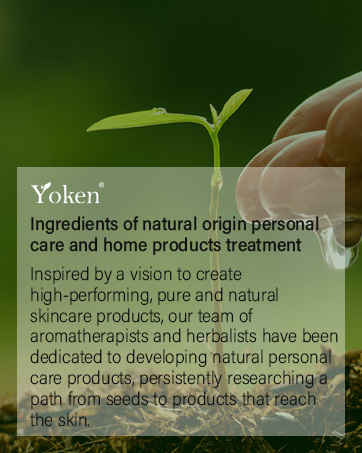 Yoken story