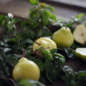 Pears with leaves