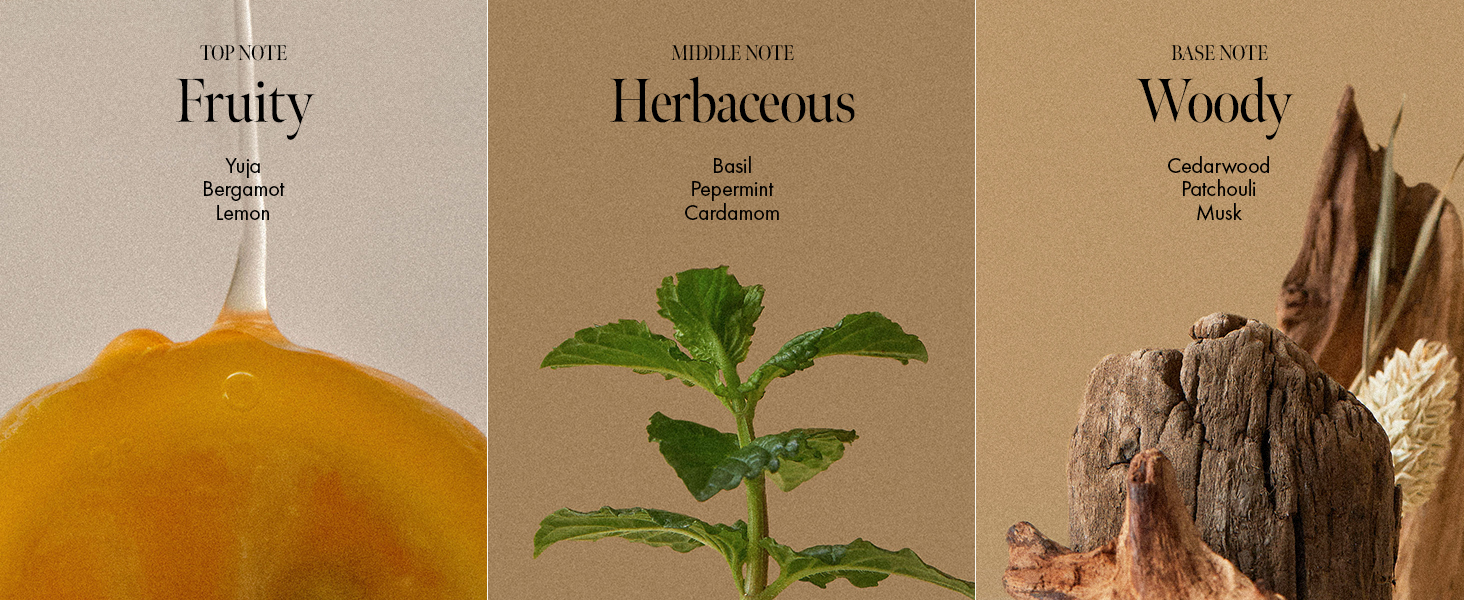 Parfum Note