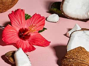  Pieces of coconut and hibiscus on light pink background.