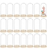 BENECREAT 30PCS Glass Display Dome, 1.2x2.8inch Bell Jar Display Case, Decorative Glass Dome with...