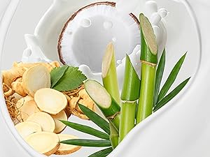 Ingredients Pre- & Postbiotic