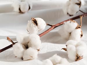 Cotton Wick Candle