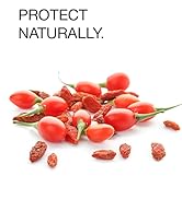 protein shampoo and conditioner