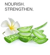 aloe vera shampoo and conditioner