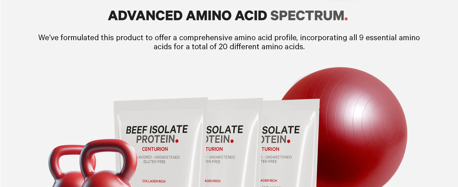 beef isolate protein, carnivore protein, beef protein powder, protein beef isolate, beef whey