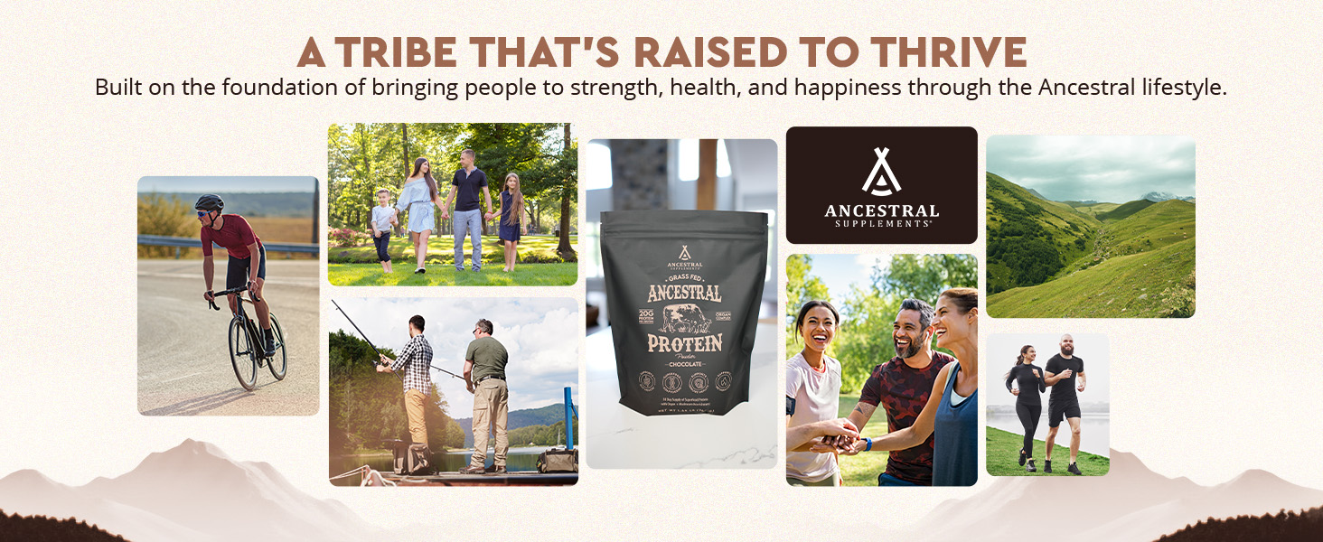 Ancestral Supplements, tribe, grass fed protein, mushrooms, bone broth 