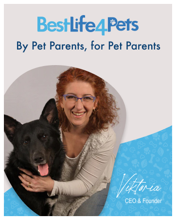 bestlife4pets best life 4 pets mange for dogs allergy relief for dog constipation relief dog breathe