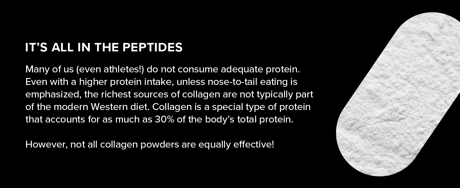 unflavored collagen powder verisol verisol collagen peptides
