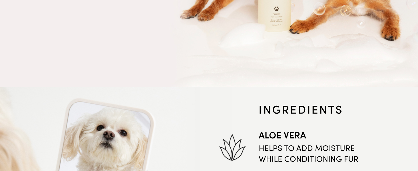 This pet shampoo will become a new staple among your pet supplies