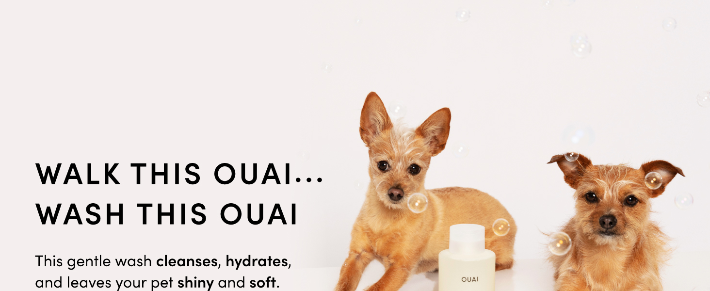 This dog shampoo cleanses and hydrates, leaving your pet shiny and soft