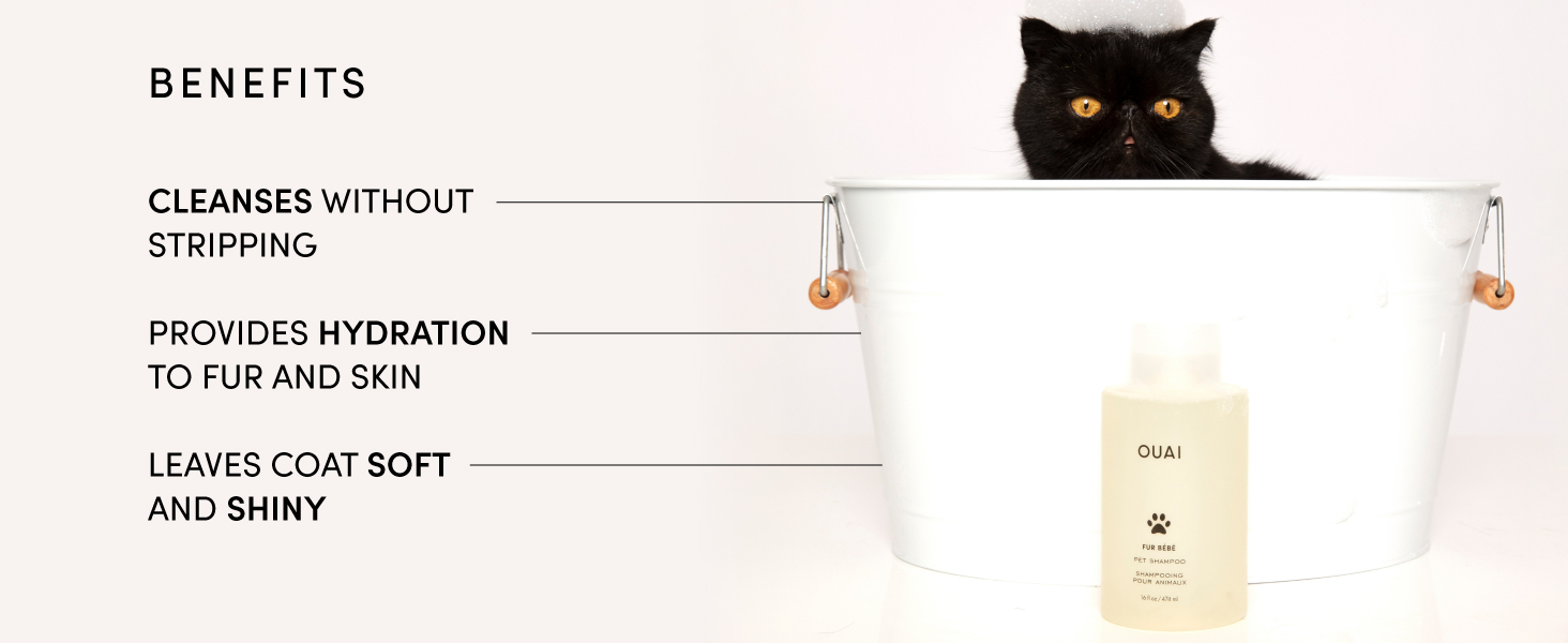 OUAI pet shampoo comes in our famous mercer street fragrance
