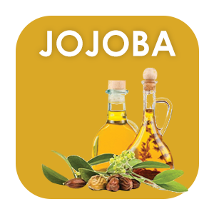 Face Moisturizer with Jojoba