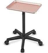TASALON Premium Aluminum Salon Tray on Wheels, Height Adjustable Salon Tattoo Cart Tray, Styling ...