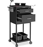 TASALON New Upgrade Salon Metal Trolley Cart for Salon Station - Space Saving Salon Rolling Cart ...