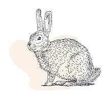 cruelty free