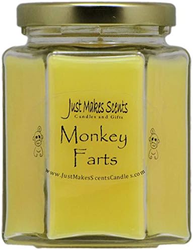 Just Makes Scents Monkey Farts Scented Blended Soy Candle (8 oz)