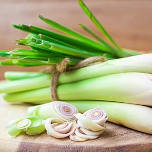 lemongrass extract essential oil