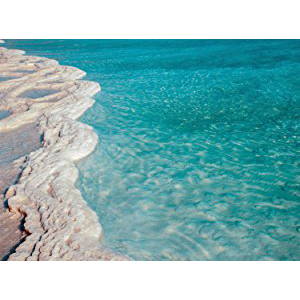 PraNaturals Dead Sea Scrub