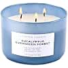 Eucalyptus Evergreen Forest 3 Wick Scented Candle | Luxury Soy Candles for Home | Relaxing Aromatherapy Stress Relief Candle 15.8 oz | Clean Burn Long Lasting Balsam Fir Woods Candles for Men & Women