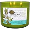 Eucalyptus Spearmint Aromatherapy Candle 3-Wick | Soy Scented Candles for Home | 15.8 oz Large Candle for Men and Women | Long Lasting Eucalyptus Candles | Decorative Candle Gift