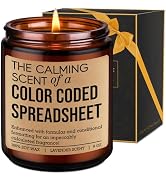 LEADO Candle - CPA, Accountant Gifts, Spreadsheet Gifts for Coworker, Boss - Funny Christmas, Bos...