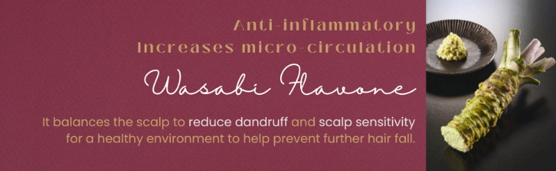 Hair Fall A+ banner 5