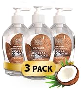 Dead Sea Collection Hand Soap - Large Bottle with Pump – Coconut Scented Moisturizing Handsoap fo...