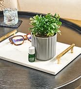 glass dryer para best smell mini machine bracelet office refill kit wireless personal humidifiers