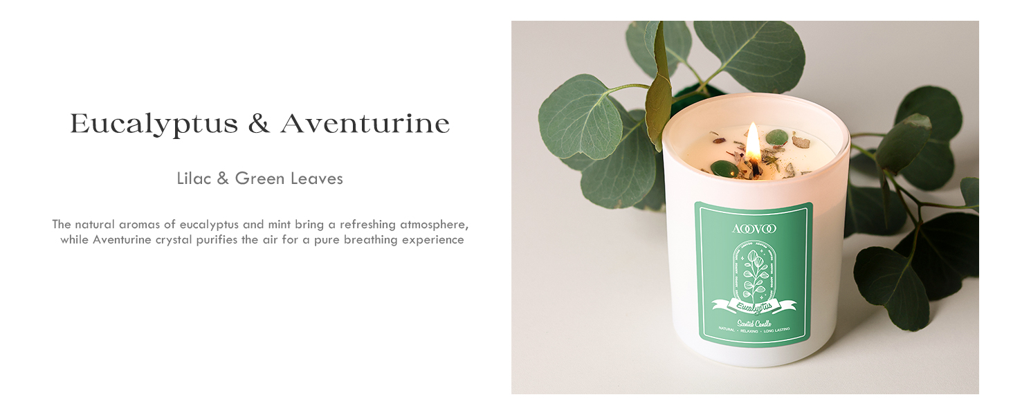Eucalyptus Scented Candles
