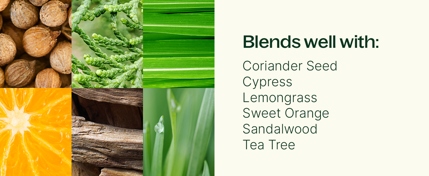 blend with lemongrass orange tea tree