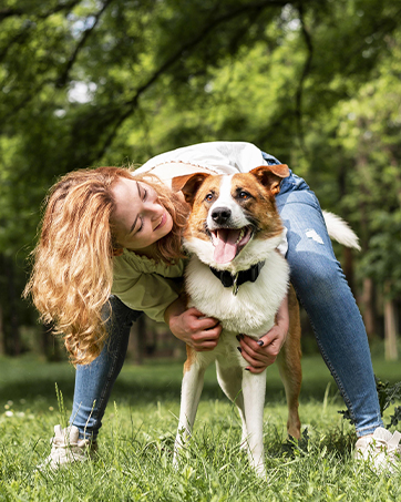 ear treatment for dogs