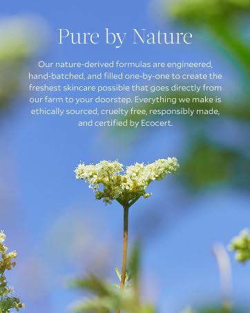 tata harper, skincare, skin care, luxury skin care, nautral skin care