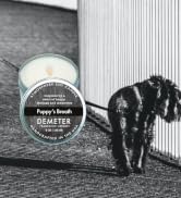 Puppy’s Breath Candle