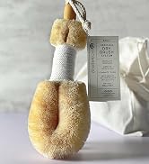 Ginger Chi Dry Brush for Skin, Dry Brushes for Body, Natural Bristle Brush for Dry Brushing Skin...