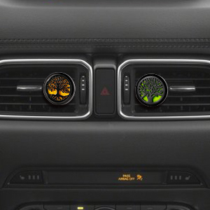 car diffuser