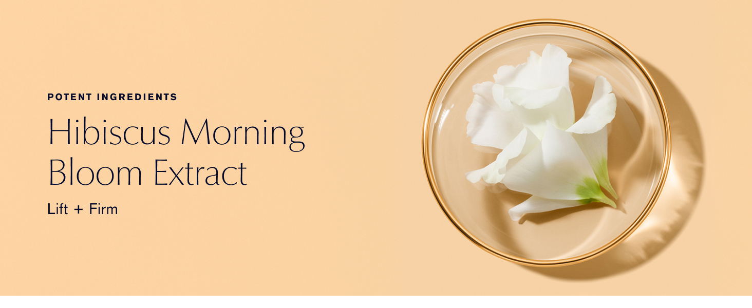Hibiscus Morning