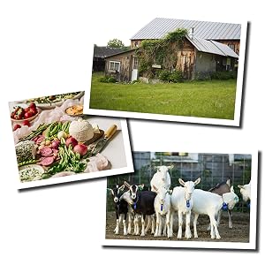 Vermont Creamery Farm and Goats
