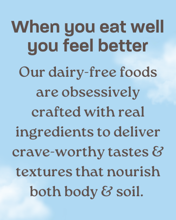 dairy free foods with real ingredients, crave worthy taste & texture