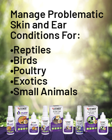 skin spray for reptiles