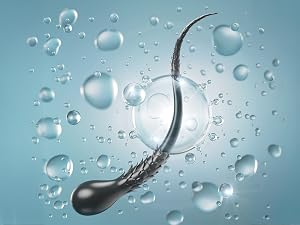 Moisturizing shampoo and conditioner