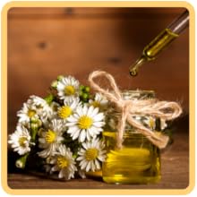 Chamomile Extract