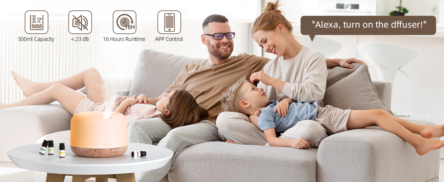 home diffuser
